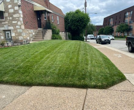 we mow any size yards.